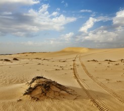 Desert sand dunes on sunrise, Mui Ne, Vietnam, Asia