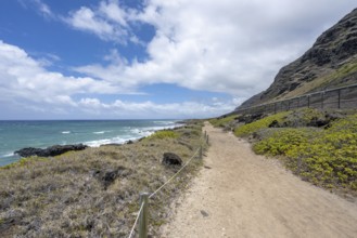 Coastel Hiking Trail Ka'ena-Point, Ka'ena-Point State Park, Oahu, Hawaii, USA, North America