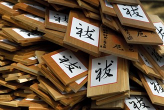 Wish boards with characters, Kasuga Taisha, Kasuga shrine, Nara, Japan, Asia