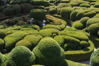 Boxwood garden, Les Jardins de Marqueyssac, Vezac, Dordogne, Périgord, Département Dordogne, Region