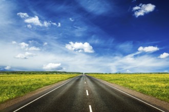 Travel concept background, an empty road with a blue sky and blooming green spring fields on either