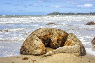 Moeraki Boulders Beach, Otago, Neuseeland