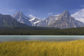 Upper Waterfowl Lake, Jasper National Park, Alberta, Canadian Rockies, Canada, North America