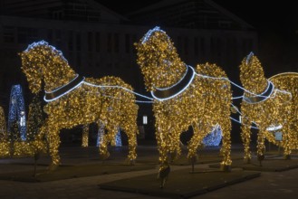 Golden horse figures, cathedral square, world of lights, Magdeburg, most extensive Christmas and