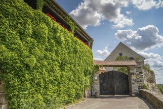 Burg, entrance to the grammar school, Wettin, Saxony-Anhalt, Germany, Europe