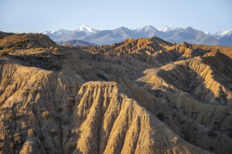 Landscape of eroded hills at sunrise, badlands, white mountain peaks of the Tian Shan Mountains in