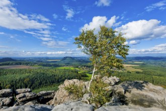 View from Gohrisch in Saxon Switzerland