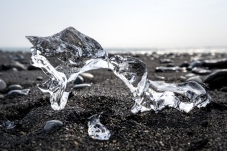 Ice, piece of ice on black sand beach, on black lava beach Diamond Beach, Southeast Iceland,
