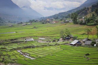 Farm shed in rice field terraces. Near Sapa, Vietnam, Asia