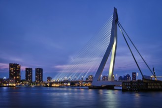 Erasmus Bridge (Erasmusbrug) and Rotterdam skyline illuminated at night. Rotterdam, Netherlands