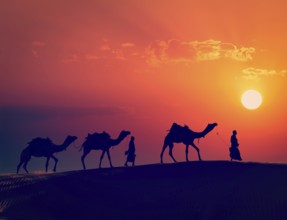Vintage retro effect filtered hipster style image of Rajasthan travel, two indian cameleers camel