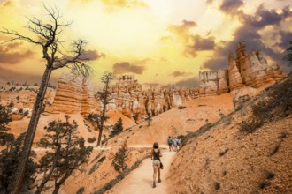 A young woman started the trail from below the Navajo Loop Trail in Bryce National Park, Utah.
