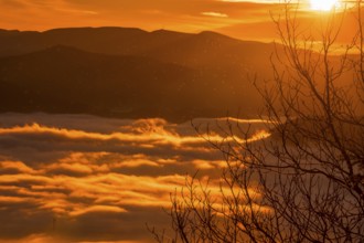 Dawn with a dense orange fog on a winter morning in Agina, Navarra. Basque Country