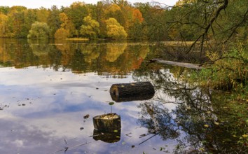 Autumn time at Lehnitzsee, Lehnitz, Brandenburg, Germany, Europe