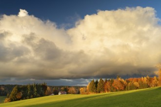 Autumn landscape in the Allgäu. A meadow, a farm, forest and trees in colourful autumn leaves. Sun