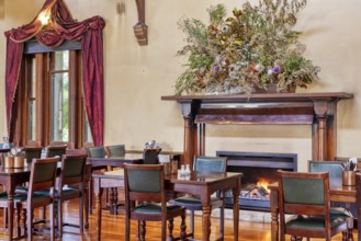Ballsaal, Schornstein, Larnach Castle, Dunedin, Neuseeland