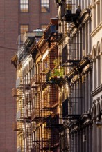 Historic buildings with fire escapes, Broadway, Manhattan, New York City, USA, North America
