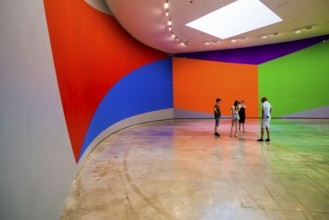 Guggenheim Museum, architect Frank Gehry, interior view, artist Sol Lewitt, Bilbao, Basque Country,