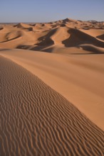 Dunes in the morning light, Great Sand Sea, Merzouga, Meknès-Tafilalet region, Morocco, Africa
