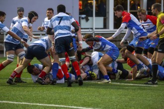 Rugby 1st Bundesliga South/West, season 2024/25, matchday 7 (catch-up match) : Heidelberger