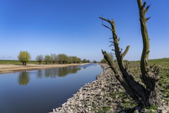 The Gierthausen oxbow lake near Schenkenschanz, Kleve, on the Lower Rhine, North Rhine-Westphalia,