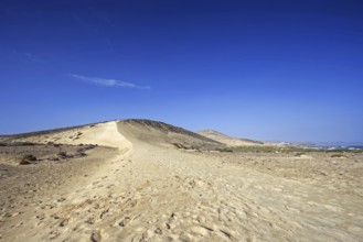 Wet sand dune and beach Playa Risco del Paso, Playa de Sotavento, Pajara, Fuerteventura, Canary