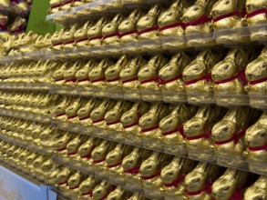 Display on retail shelf wholesale of large quantity of chocolate Easter bunnies chocolate Easter