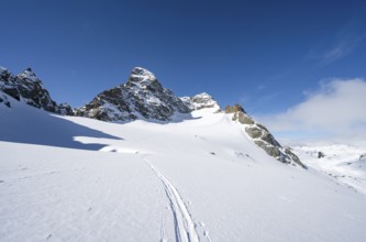 Ascent to the summit of Piz Kesch on the Vadret da Porchabella glacier in winter, view of Piz Kesch