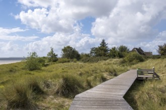 Boardwalk in the dunes between Nieblum and Greveling, North Sea island of Föhr, Schleswig-Holstein,
