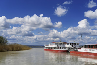 Bicycle ferry at the landing stage, Illmitz, National Park, Lake Neusiedl, Seewinkel, Burgenland,