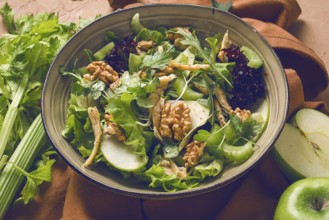 Fresh, Waldorf salad, celery stalk with chicken, apple and walnut, grapes, herbs, homemade, no
