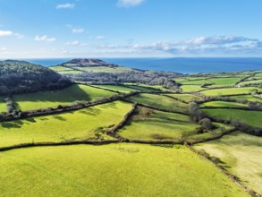 Farms over Road A35 from a drone, Morcombelake Village, Bridport, Dorset, England, United Kingdom,