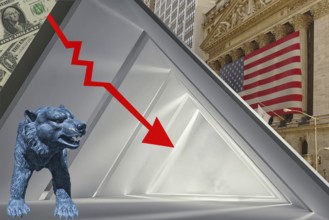 Symbolic image, bear stands for bear market, Wall Street and Dax crash, President Trump's erratic