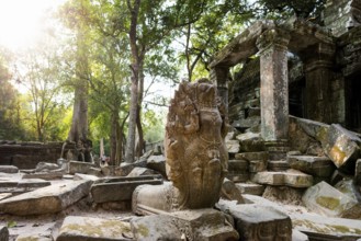 Ta Prohm, Angkor Wat, Angkor, UNESCO World Heritage Site, Siem Reap, Cambodia, Indochina, Southeast
