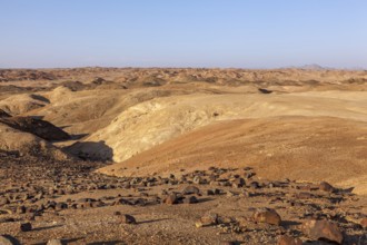 View over the lunar landscape near Swakopmund in the evening light, Namibia, Africa