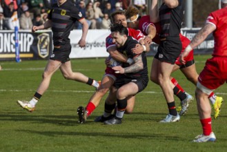 European Men's Rugby Championship, match for 7th place: Germany vs. Switzerland in Heidelberg