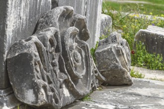 Priene archaeological site, Güllübahçe, Aydin province, Aegean region, Turkey, Asia