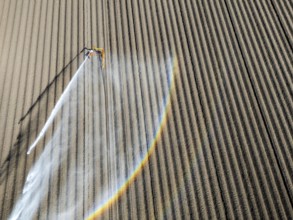 Artificial irrigation of a potato field in April, with a sprinkler system, long drought in spring