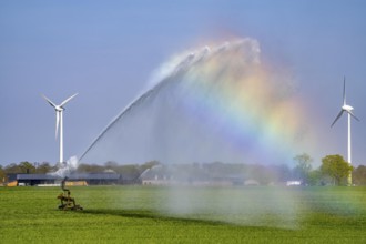 Artificial irrigation of a cereal field in April, with a sprinkler system, long dry spell in spring