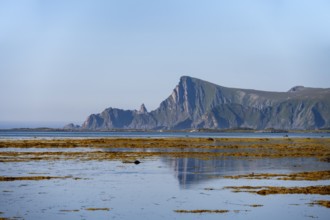 View of coastal landscape with reflection, steep coast with peak Måtind, Andøya island, Vesterålen,