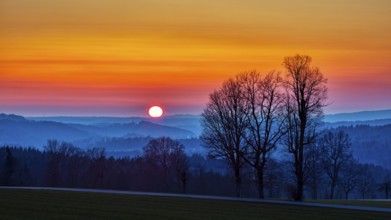 Atmospheric landscape with trees and a glowing sunset on the horizon, Hocheck