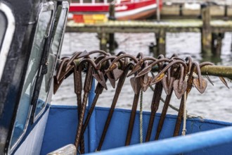 Fishing boats in the town harbour of Sassnitz, island of Rügen, Netzanker, Mecklenburg-Vorpommern,