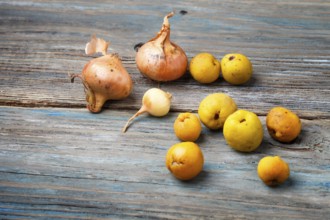 Fresh yellow fruits and onions on a blue rustic wooden background. Concept of contrast