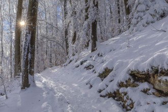 Snow-covered forest path on the Rossberg, Swabian Alb, Baden-Württemberg, Germany, Swabian Alb,