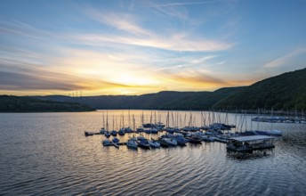 Lake Rursee, reservoir in the Eifel National Park, north-east bank near Heimbach, near the Rur dam