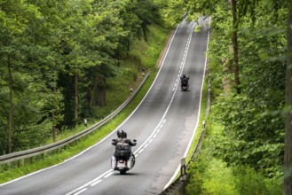 Country road through a forest, near Hofgeismar, in Hesse, Germany, Europe