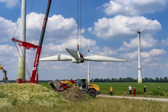 Repowering of a wind farm near Issum, 9 older wind turbines from the manufacturer Enercon (model