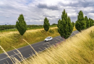 Dorstfelder Allee in Dortmund, completely new road built in 2013, former farmland, in the Dorstfeld
