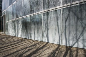 Modern architecture, office building, architects Sejima & Nishizawa (SANAA), Novartis Campus,