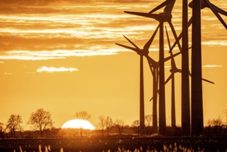 Wind farm near the East Frisian town of Norden, east of the town, sunset, Lower Saxony, Germany,